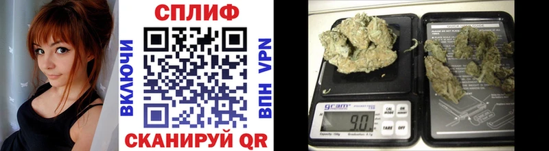 Где продают наркотики Новосиль mega зеркало  Меф мяу мяу  АМФЕТАМИН  Каннабис  A-PVP  Кодеин 