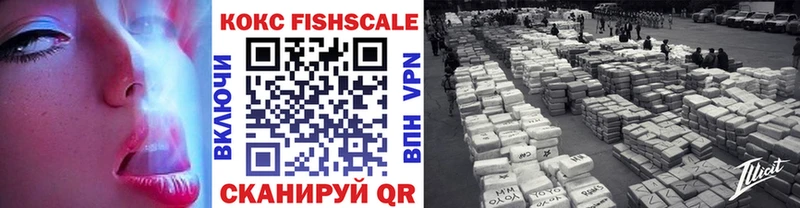 COCAIN Fish Scale Новосиль