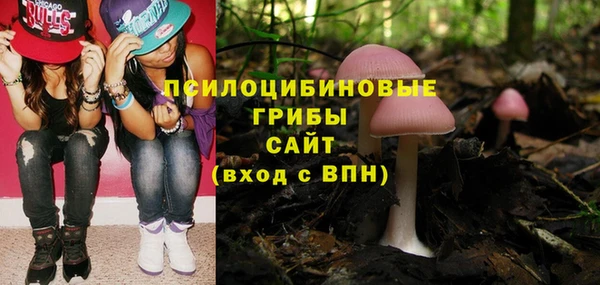 PSILOCYBIN Пестово