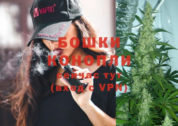 PSILOCYBIN Пестово